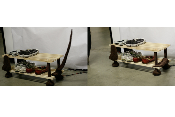 Rack with broken tail
