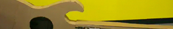 Not a Guitar