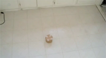 Robotic Pixel Video